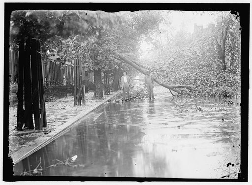 STORM DAMAGE