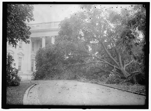 White House] STORM DAMAGE
