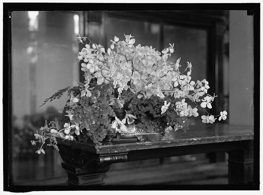 BOUQUET