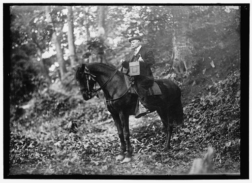 Man on horse in woods