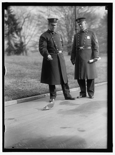 WHITE HOUSE OFFICERS FEEDING PIGEONS