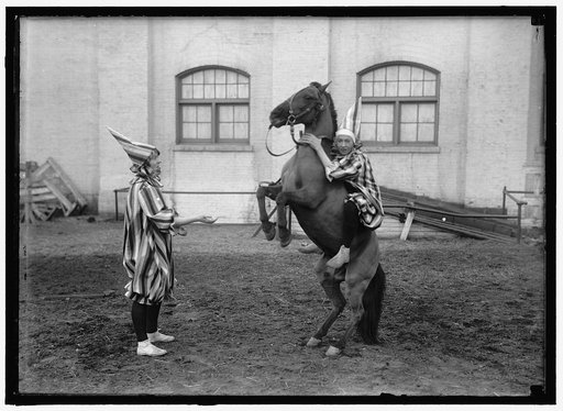 CLOWNS AND HORSE