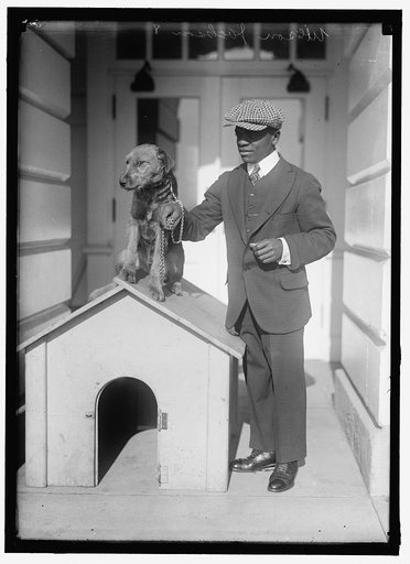 JACKSON, WILISON