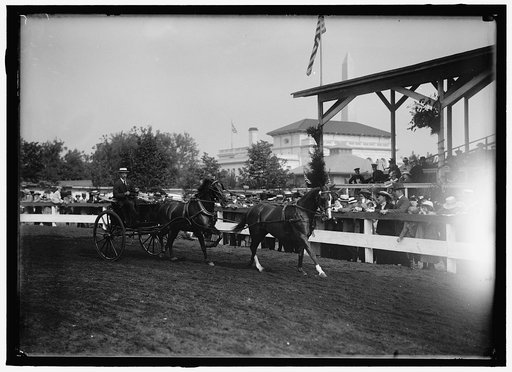 HORSE SHOWS. M.C. HAZEN