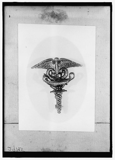 Army School of Nursing insignia with a gilt lamp