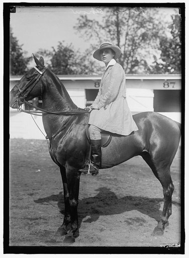 HORSE SHOWS.