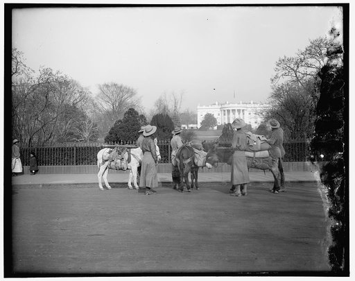 White House
