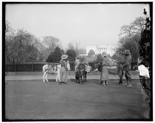 White House
