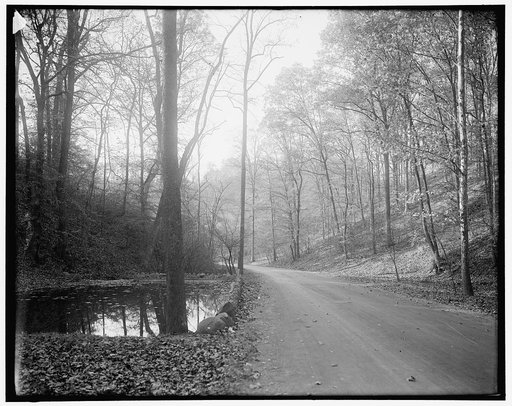 Rock Creek Park scenes