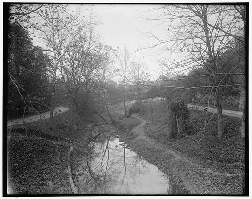 Rock Creek Park scenes