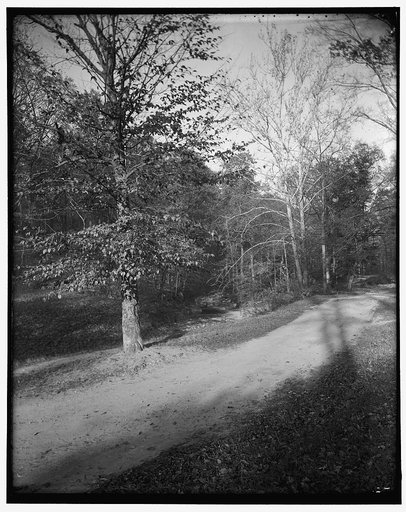 Rock Creek Park scenes