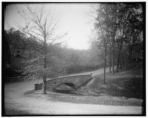 Rock Creek Park scenes