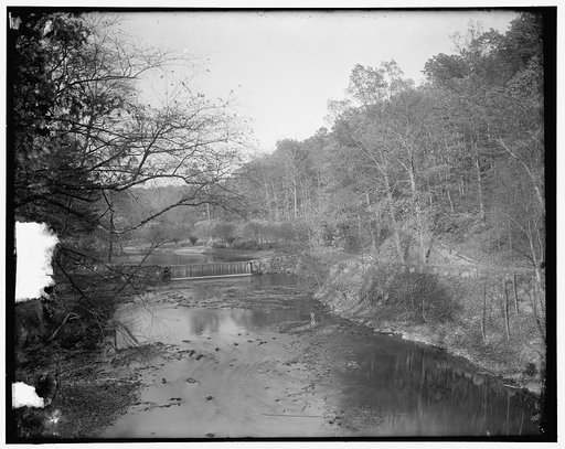 Rock Creek Park scenes