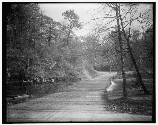 Rock Creek Park scenes