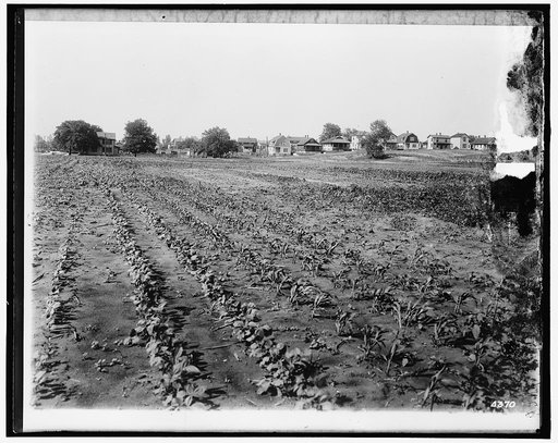 National Emergency Food Garden