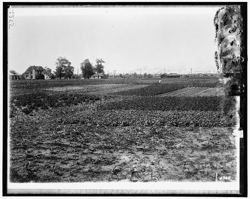 National Emergency Food Garden