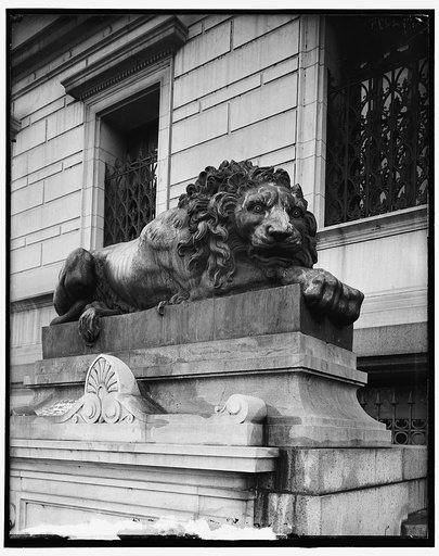 Lions at Corcoran Art Gallery