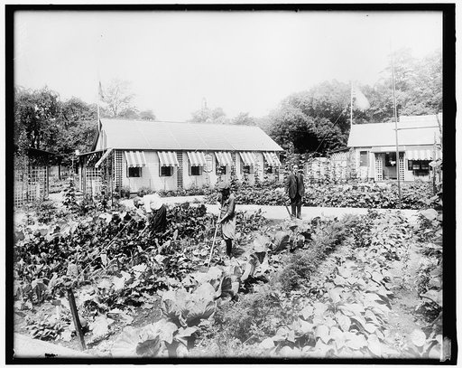 War Garden Commission