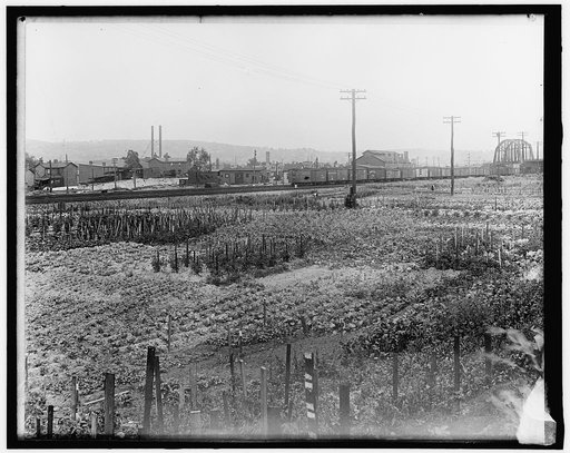 War Garden Commission