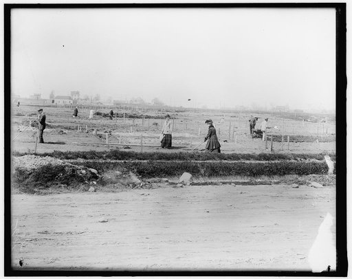 War Garden