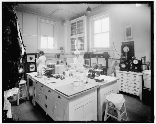 Home Economics Section