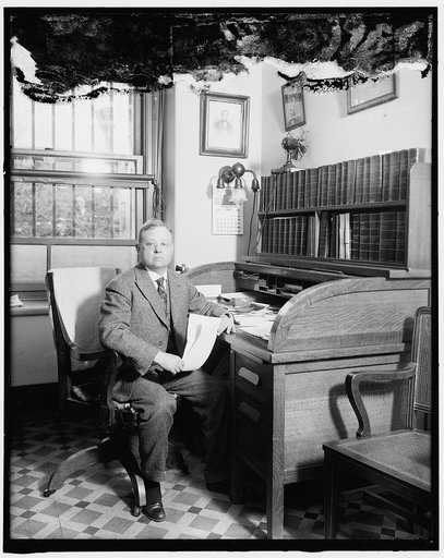Langworthy, Chief of Home Economics Section