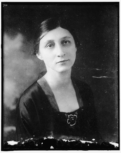 Alice Schoemaker, Palmer Campaign