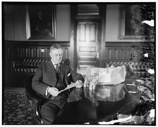 Harry S. New