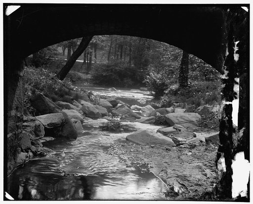 Rock Creek Park