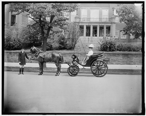 VonSTEINBURG, BARRONESS. IN CARRIAGE
