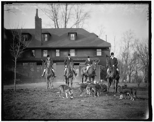 HUNTING SCENE