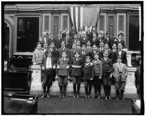 HOUSE OF REPRESENTATIVES PAGES
