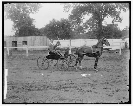 LEESBURG HORSE SHOW