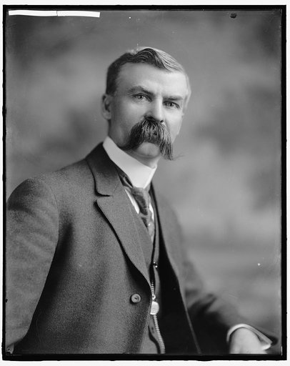 WALSH, T.J. HONORABLE
