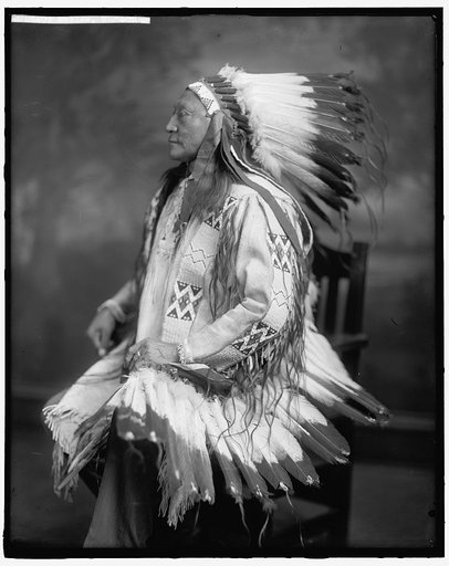 HOLLOW, HORN BEAR