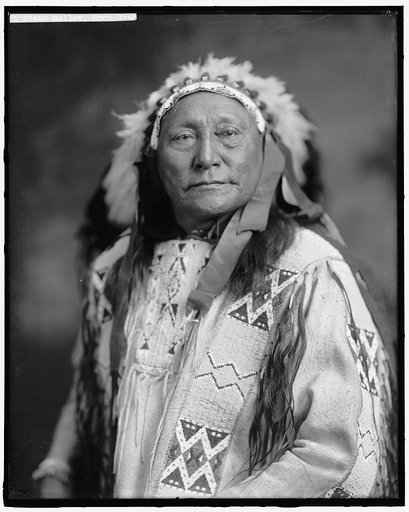 HOLLOW, HORN BEAR