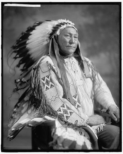 HOLLOW, HORN BEAR