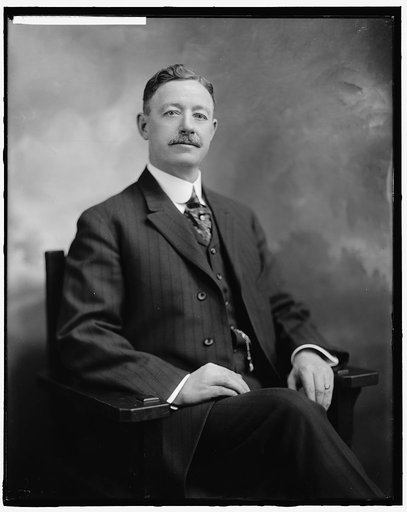 DOOLING, P.J. HONORABLE