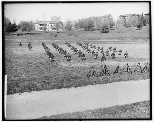 VIRGINIA P.I. FORMATION