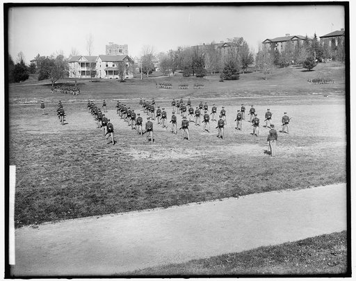 VIRGINIA P.I. FORMATION