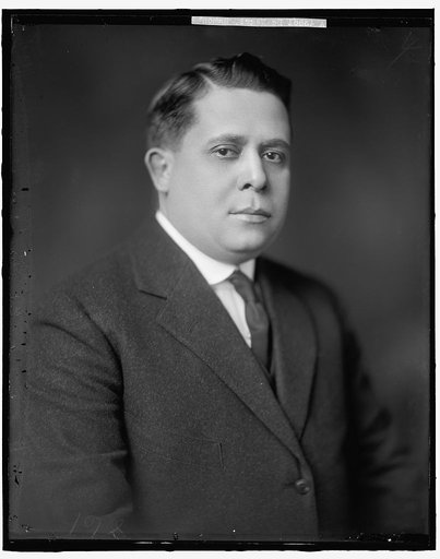 DeNEGRI, RAMON P.