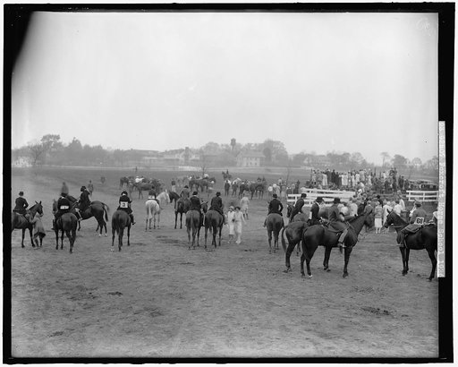 FOXCROFT HORSE SCHOOL