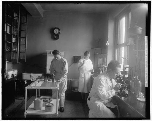 EMERGENCY HOSPITAL. INTERIOR