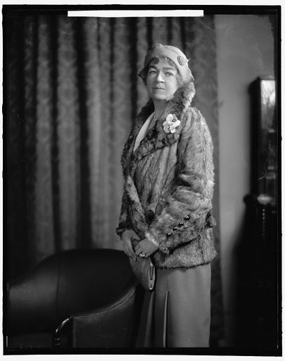 ROGERS, EDITH N., REPRESENTATIVE