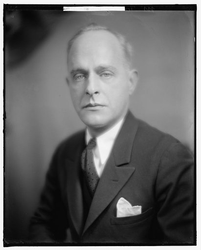 deZAYAS, MARIUS