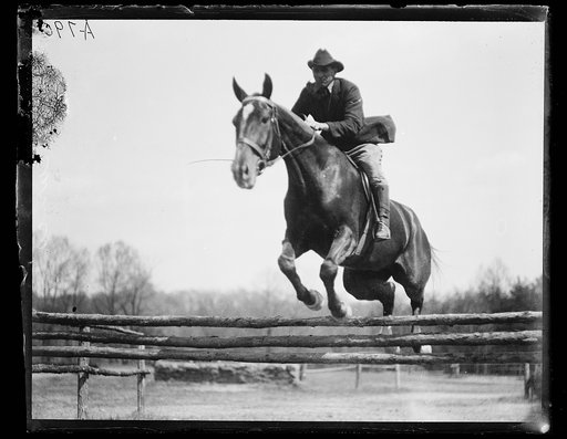 Horse event