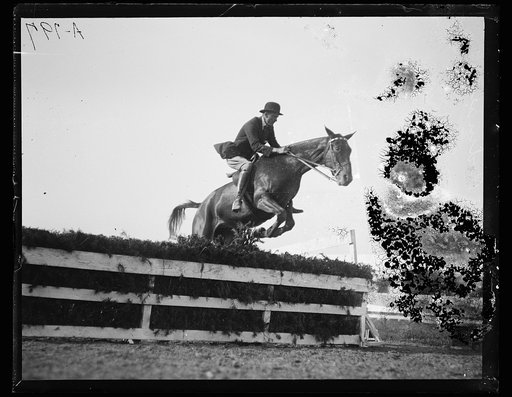 Horse event
