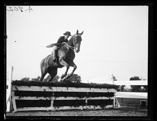 Horse event