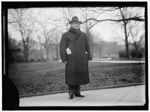 BRYAN, WILLIAM JENNINGS. REP. FROM NEBRASKA, 1891-1895; SECRETARY OF STATE, 1913-1915