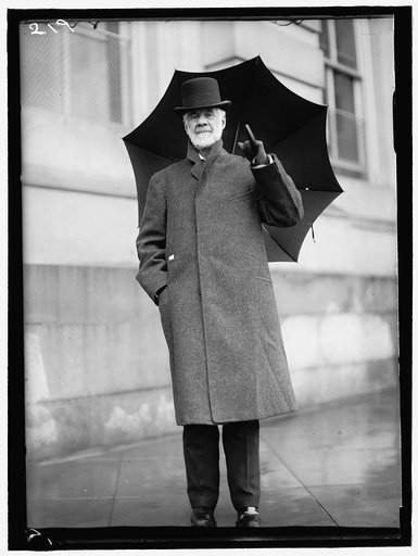 DAVIS, HENRY GASSAWAY. SENATOR FORM WEST VIRGINIA, 1871-1883; CHAIRMAN, PAN AMERICAN RAILWAY COMMISSION, 1901-1916
